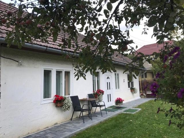 Hotel Casuta Sanatatii Covasna Esterno foto